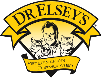 drelseysus.com